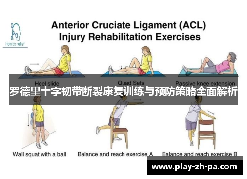 罗德里十字韧带断裂康复训练与预防策略全面解析